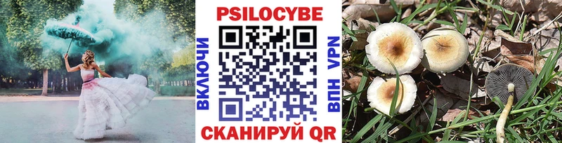 цены наркотик  Сорск  Галлюциногенные грибы Psilocybine cubensis 